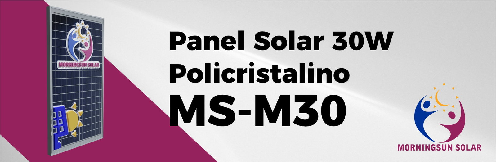 Panel Solar 30 Watts Policristalino MS Solar Panel Solar 30 Watts Policristalino MS Solar