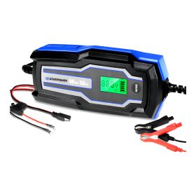 Cargador de batería inteligente 10A 6V-12V